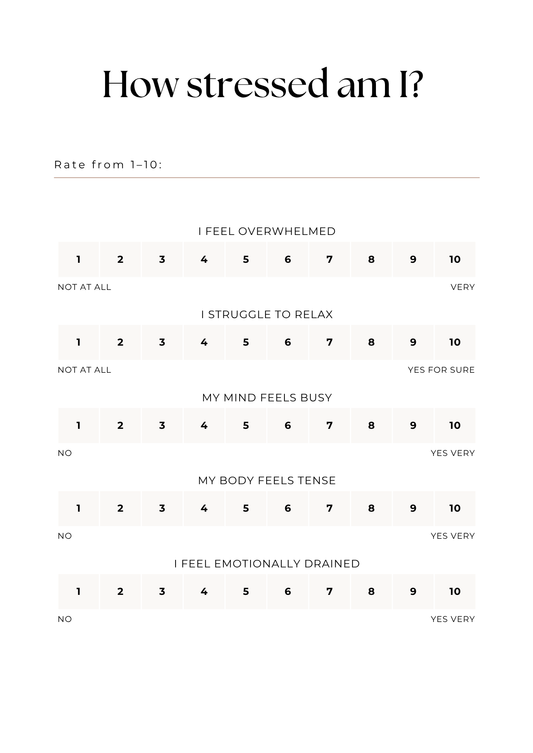 Stress Regulation Workbook