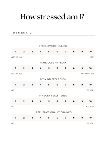 Stress Regulation Workbook