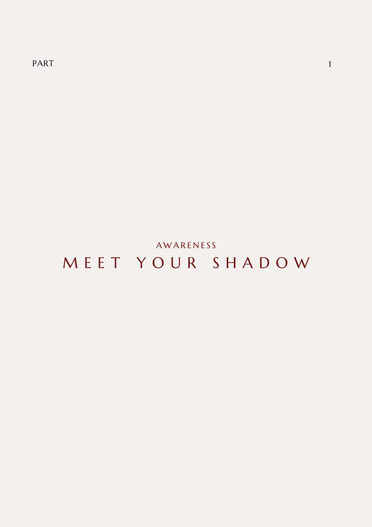 Shadow Work Journal
