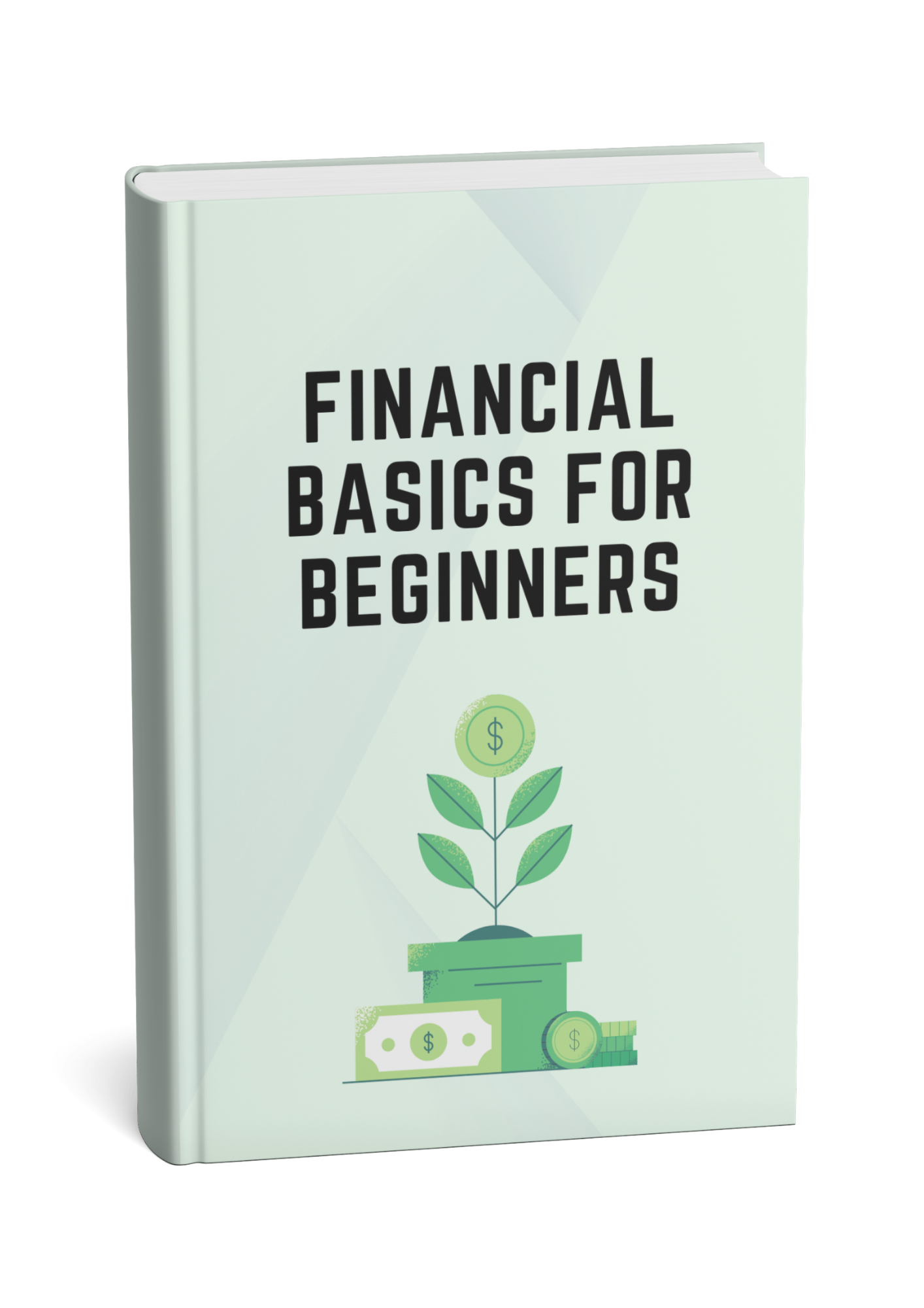 Financial Basics For Beginners eBook